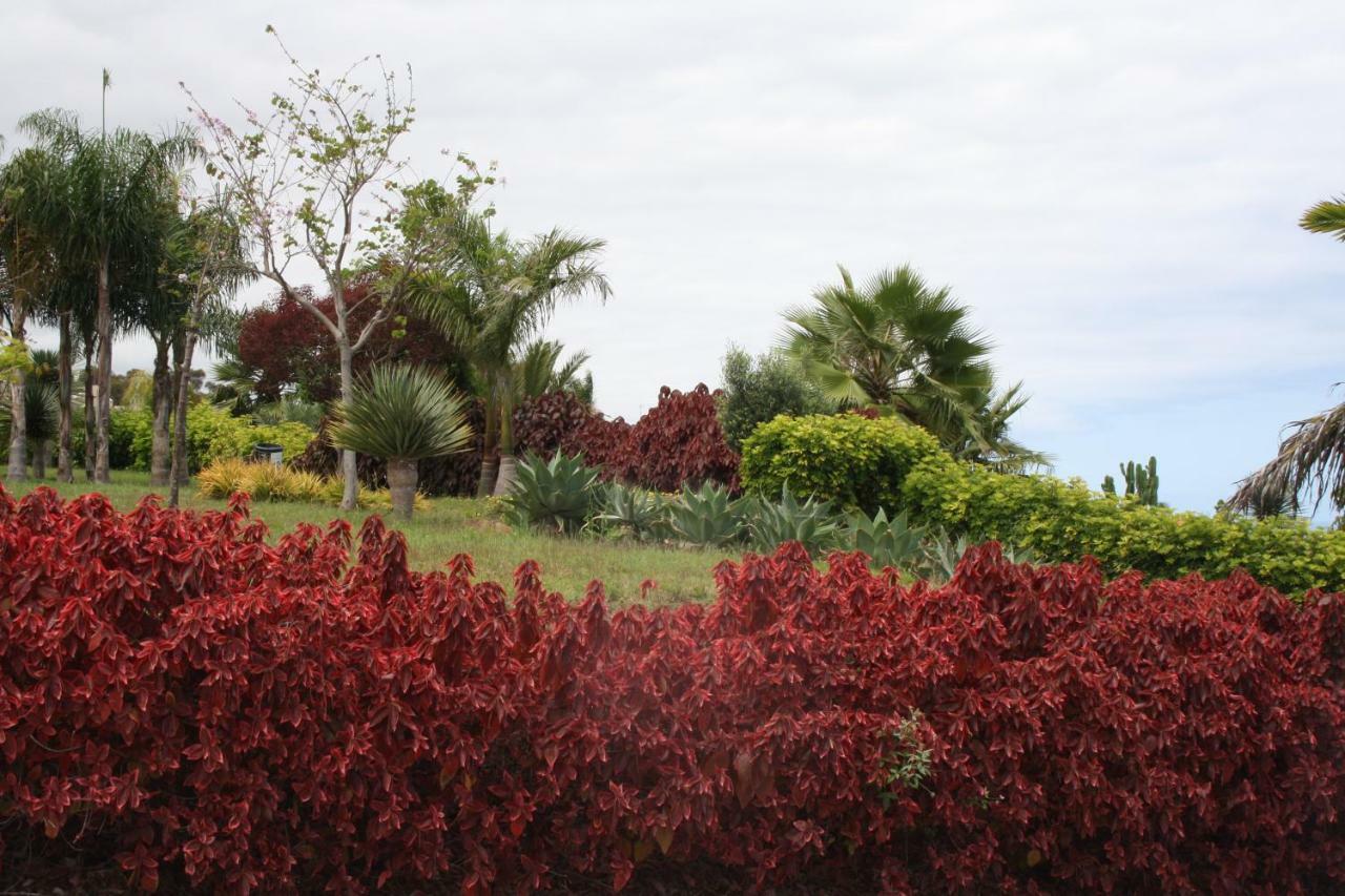 Апартаменти Sissi Boutique - The Terrace Between Ocean And Teide Санта-Урсула Екстер'єр фото